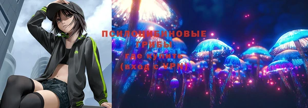 ГАЛЛЮЦИНОГЕННЫЕ ГРИБЫ Вязники
