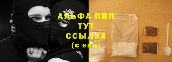 ГАЛЛЮЦИНОГЕННЫЕ ГРИБЫ Вязники
