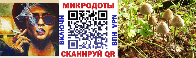 Галлюциногенные грибы Psilocybine cubensis  Дюртюли 